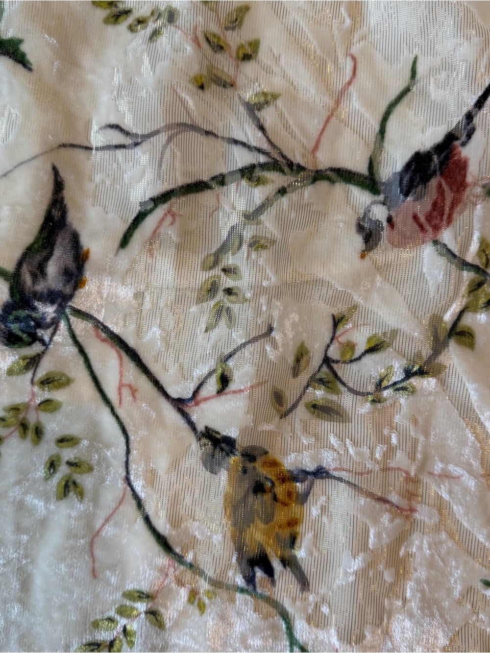 Anthropologie Deletta Long Sleeve Velvet Burnout Bird Print Cream Boho Whimsy L - Picture 3 of 8
